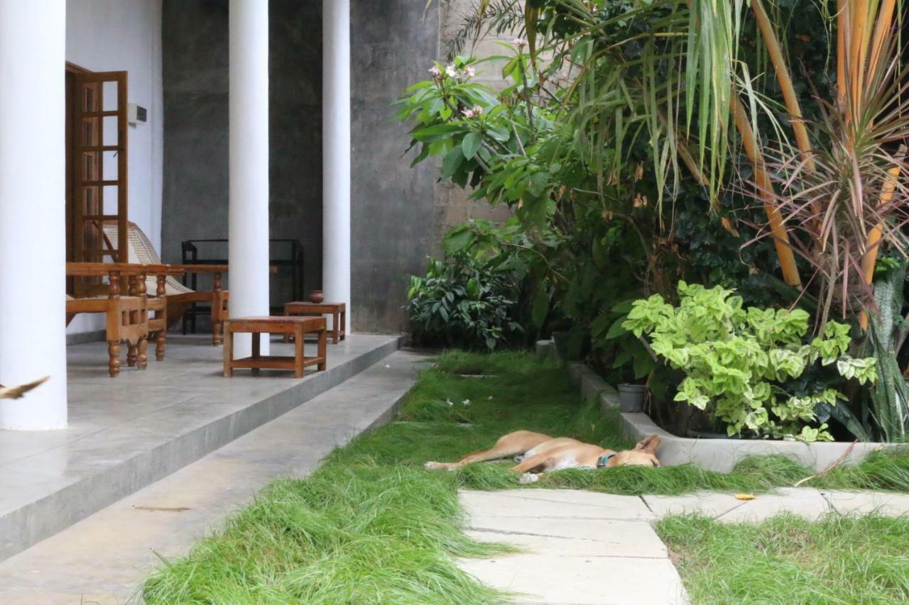Cili Hotel Arugam Bay Exterior photo